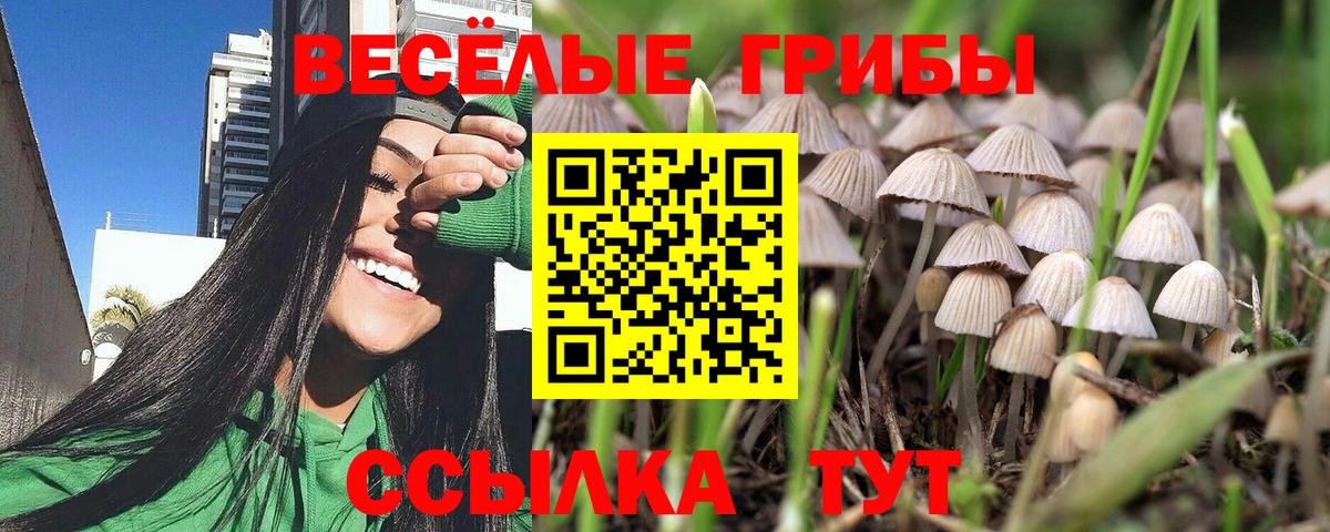 наркота  Псилоцибиновые грибы Psilocybine cubensis  Печора  Вход с VPN  Галлюциногенные грибы Psilocybine cubensis 