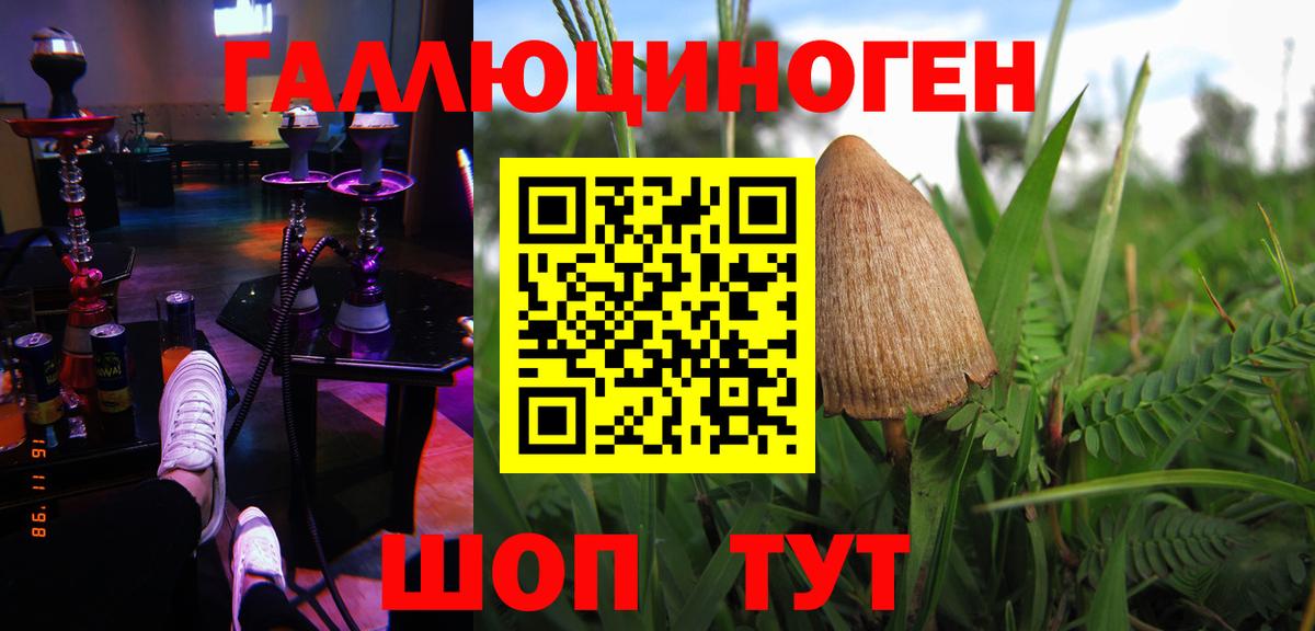 Галлюциногенные грибы прущие грибы Печора